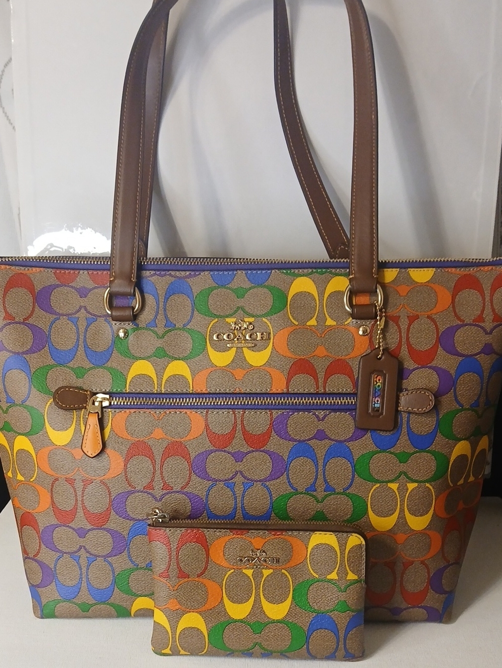 Coach Signature Rainbow Tote with Wristlet